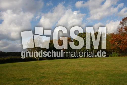 Herbststimmung-25-10-09 004.jpg